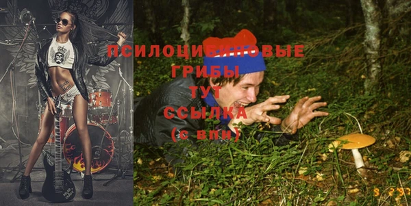 хмурый Абдулино