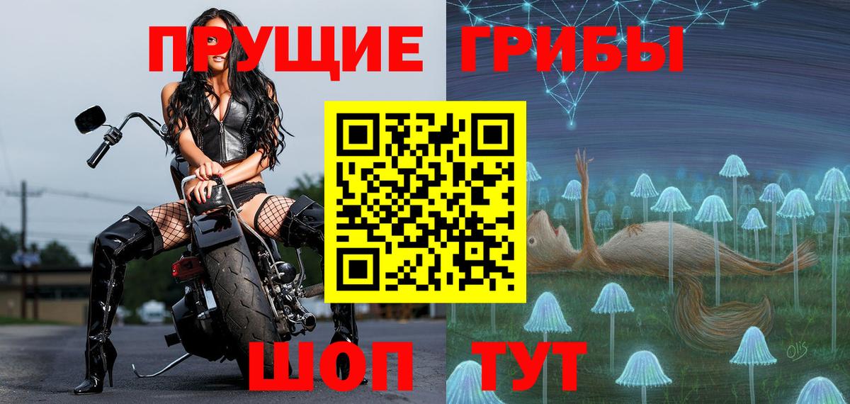 Галлюциногенные грибы Magic Shrooms  Галлюциногенные грибы прущие грибы  Тамбов  Вход с VPN 