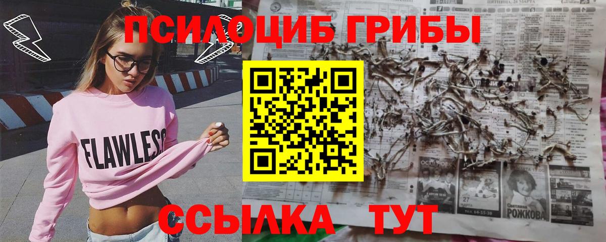 Галлюциногенные грибы MAGIC MUSHROOMS Тамбов